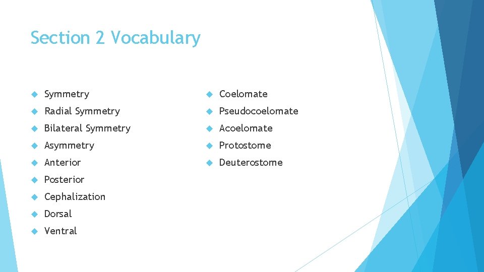 Section 2 Vocabulary Symmetry Coelomate Radial Symmetry Pseudocoelomate Bilateral Symmetry Acoelomate Asymmetry Protostome Anterior