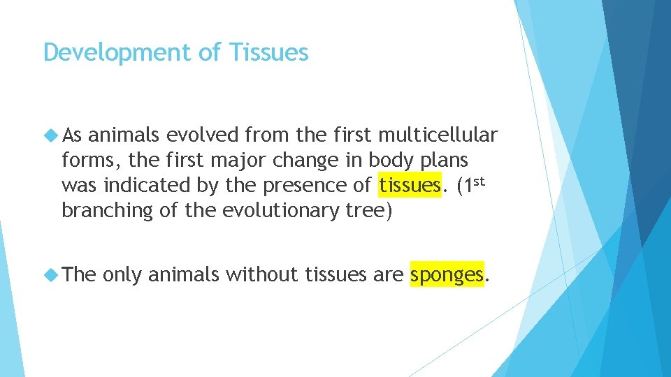 Development of Tissues As animals evolved from the first multicellular forms, the first major