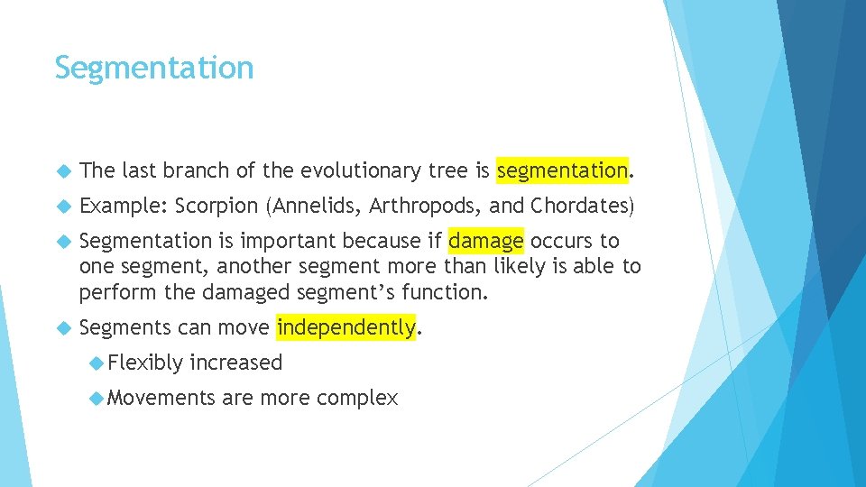 Segmentation The last branch of the evolutionary tree is segmentation. Example: Scorpion (Annelids, Arthropods,