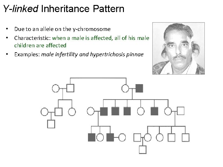 Y-linked Inheritance Pattern • Due to an allele on the y-chromosome • Characteristic: when