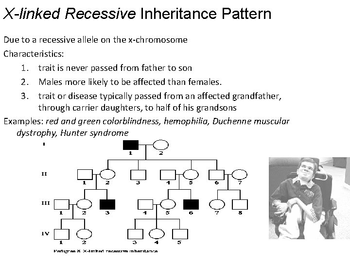 X-linked Recessive Inheritance Pattern Due to a recessive allele on the x-chromosome Characteristics: 1.