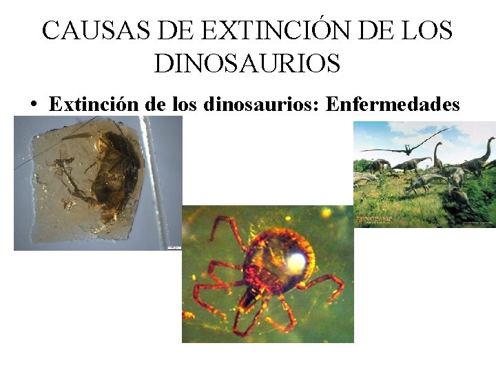 CAUSAS DE EXTINCIÓN DE LOS DINOSAURIOS • Extinción de los dinosaurios: Enfermedades 