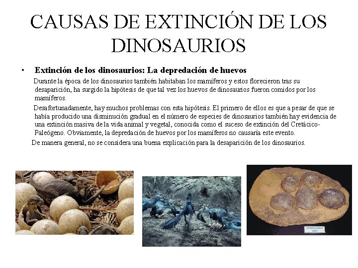 CAUSAS DE EXTINCIÓN DE LOS DINOSAURIOS • Extinción de los dinosaurios: La depredación de