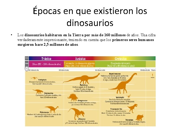 Épocas en que existieron los dinosaurios • Los dinosaurios habitaron en la Tierra por