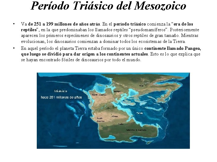Período Triásico del Mesozoico • • Va de 251 a 199 millones de años