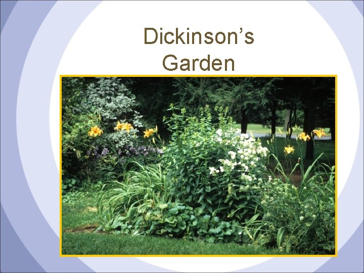 Dickinson’s Garden 