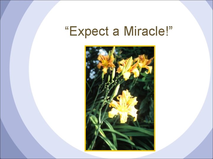 “Expect a Miracle!” 
