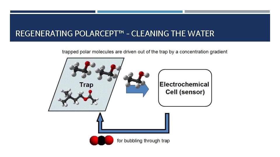 REGENERATING POLARCEPT™ - CLEANING THE WATER 