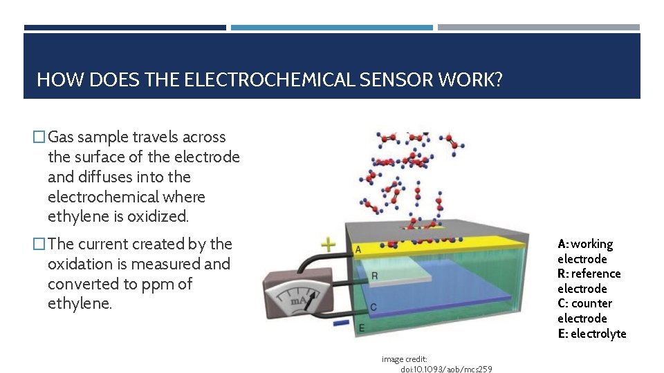 HOW DOES THE ELECTROCHEMICAL SENSOR WORK? � Gas sample travels across the surface of