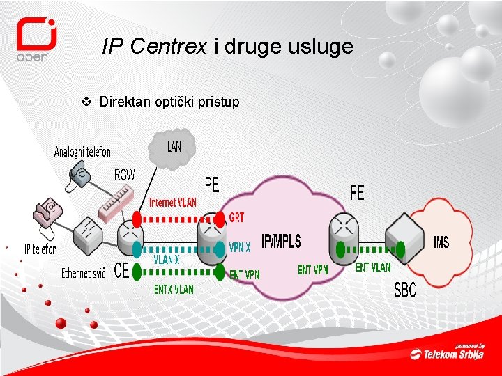 IP Centrex i druge usluge v Direktan optički pristup 