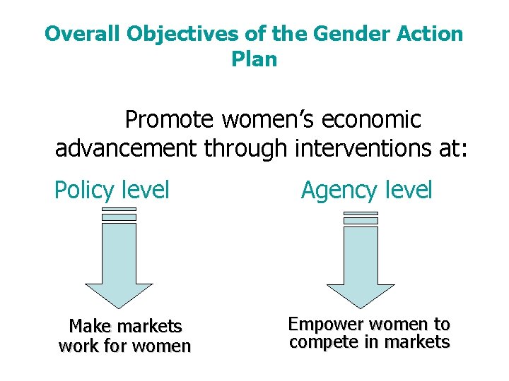 Overall Objectives of the Gender Action Plan Promote women’s economic advancement through interventions at: