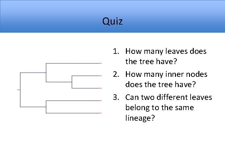 Quiz 1. How many leaves does the tree have? 2. How many inner nodes