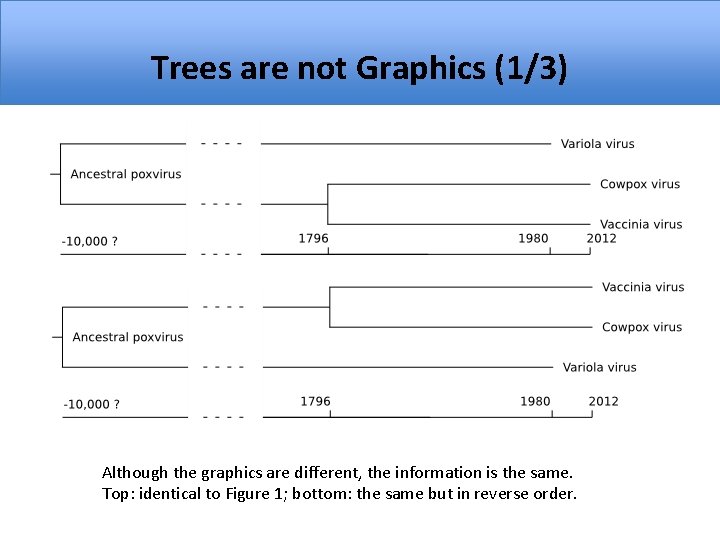 Trees are not Graphics (1/3) Although the graphics are different, the information is the