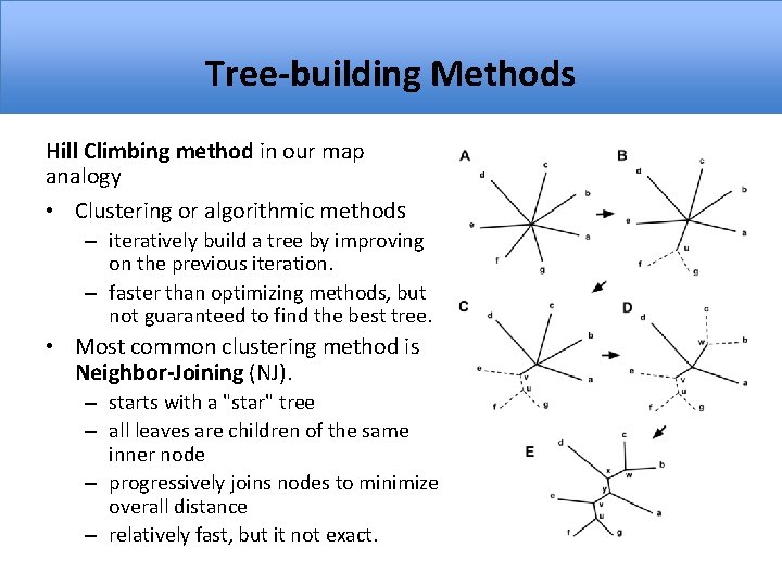 Tree-building Methods Hill Climbing method in our map analogy • Clustering or algorithmic methods