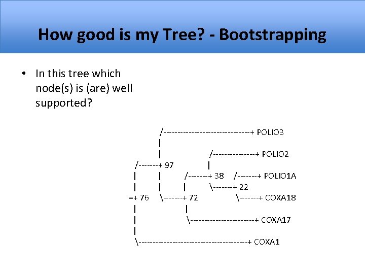 How good is my Tree? - Bootstrapping • In this tree which node(s) is
