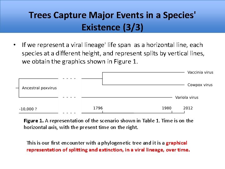 Trees Capture Major Events in a Species' Existence (3/3) • If we represent a