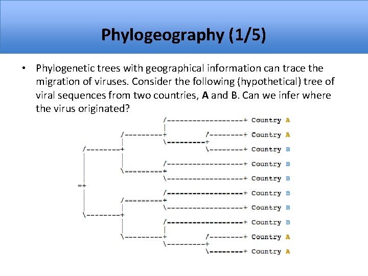 Phylogeography (1/5) • Phylogenetic trees with geographical information can trace the migration of viruses.