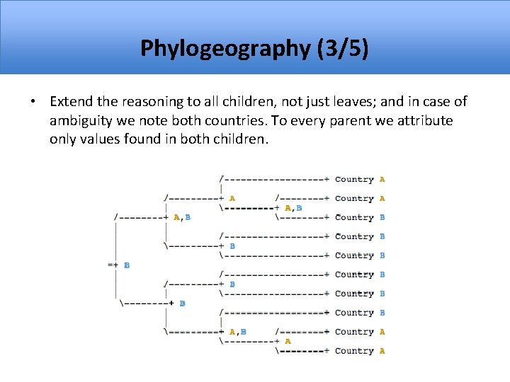 Phylogeography (3/5) • Extend the reasoning to all children, not just leaves; and in