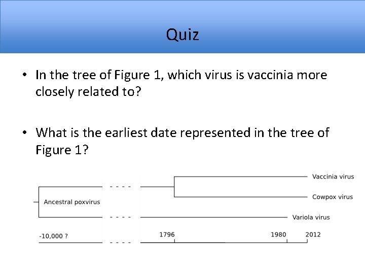 Quiz • In the tree of Figure 1, which virus is vaccinia more closely