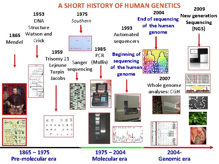  A SHORT HISTORY OF HUMAN GENETICS 1953 DNA Structure 1865 Watson and Crick