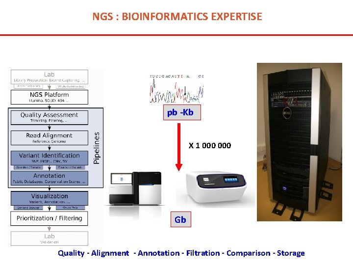 NGS : BIOINFORMATICS EXPERTISE pb -Kb X 1 000 Gb Quality - Alignment -