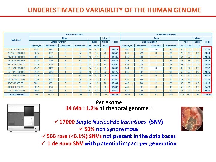 UNDERESTIMATED VARIABILITY OF THE HUMAN GENOME Per exome 34 Mb : 1. 2% of