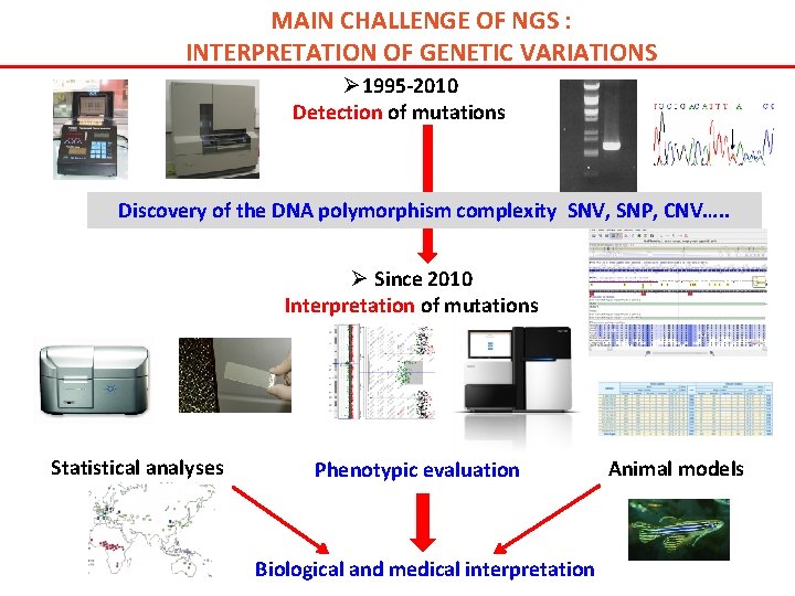 MAIN CHALLENGE OF NGS : INTERPRETATION OF GENETIC VARIATIONS Ø 1995 -2010 Detection of