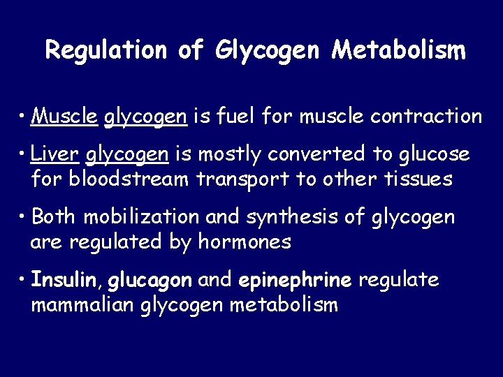 Regulation of Glycogen Metabolism • Muscle glycogen is fuel for muscle contraction • Liver
