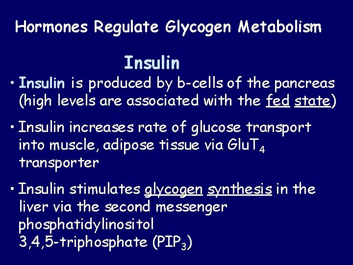 Hormones Regulate Glycogen Metabolism Insulin • Insulin is produced by b-cells of the pancreas