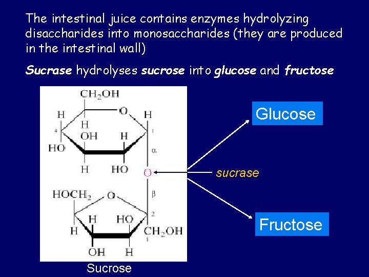 The intestinal juice contains enzymes hydrolyzing disaccharides into monosaccharides (they are produced in the