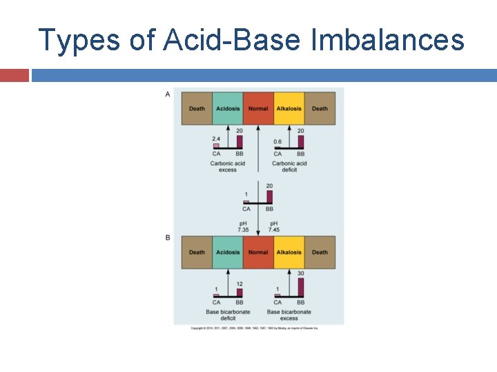 Types of Acid-Base Imbalances 
