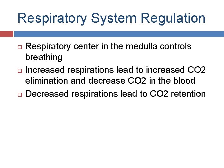 Respiratory System Regulation Respiratory center in the medulla controls breathing Increased respirations lead to