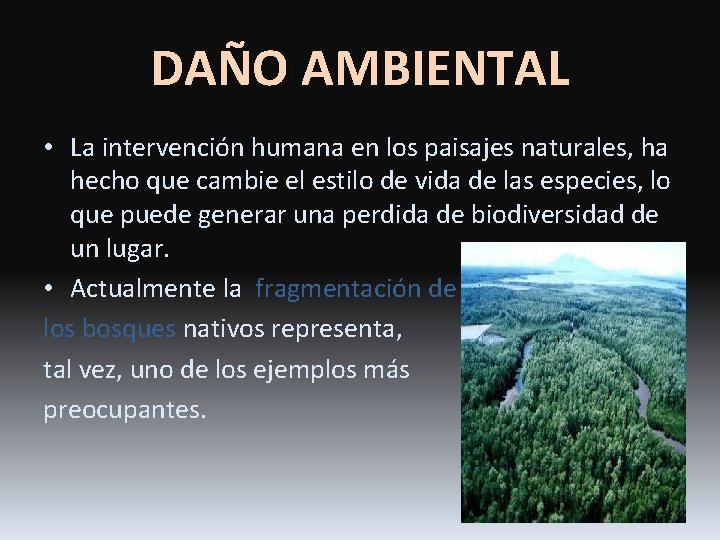 DAÑO AMBIENTAL • La intervención humana en los paisajes naturales, ha hecho que cambie