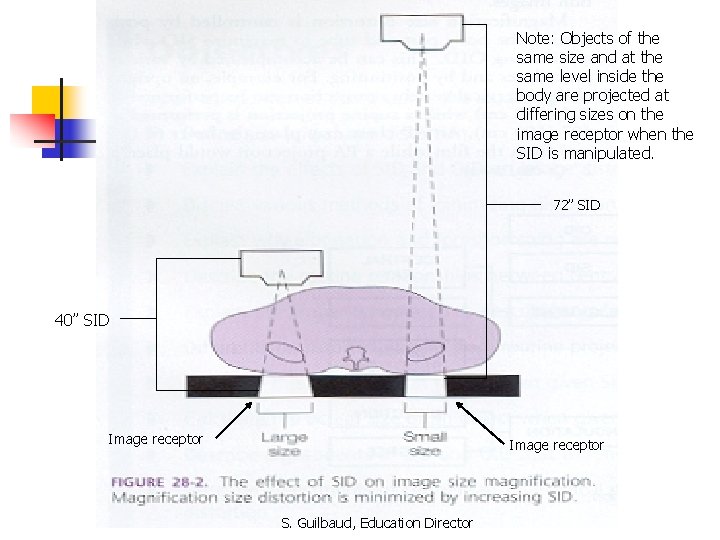 Note: Objects of the same size and at the same level inside the body