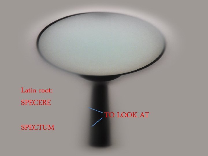 Latin root: SPECERE SPECTUM TO LOOK AT Latin root: SPECERE SPECTUM TO LOOK AT