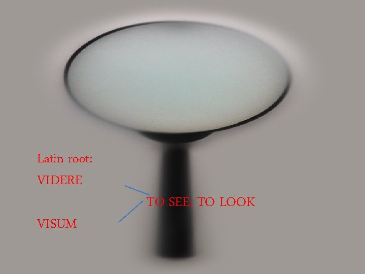 Latin root: VIDERE VISUM TO SEE; TO LOOK Latin root: VIDERE VISUM TO SEE; TO LOOK
