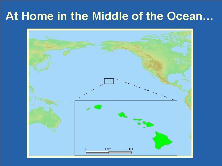 At Home in the Middle of the Ocean… 