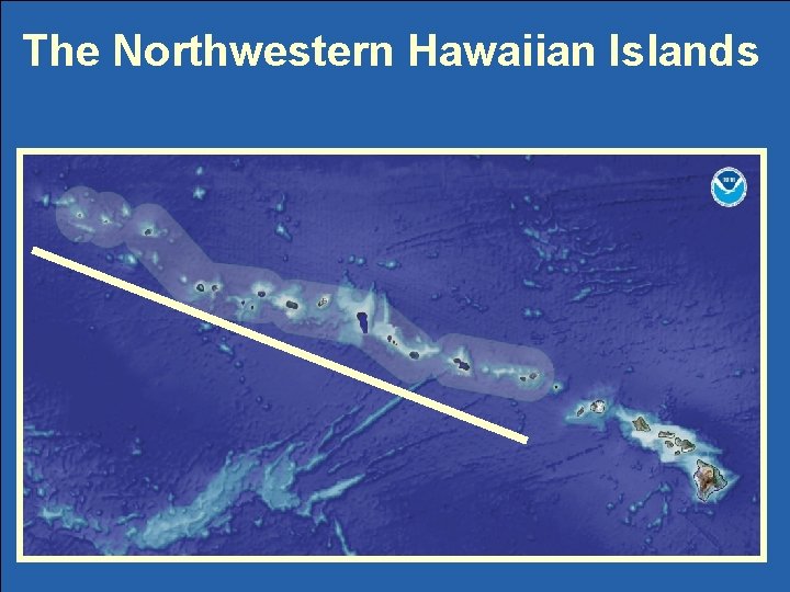 The Northwestern Hawaiian Islands 