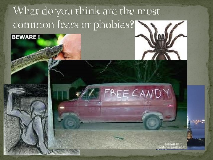 What do you think are the most common fears or phobias? 