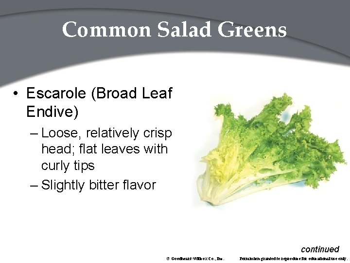 Common Salad Greens • Escarole (Broad Leaf Endive) – Loose, relatively crisp head; flat