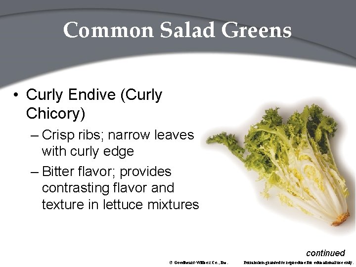 Common Salad Greens • Curly Endive (Curly Chicory) – Crisp ribs; narrow leaves with