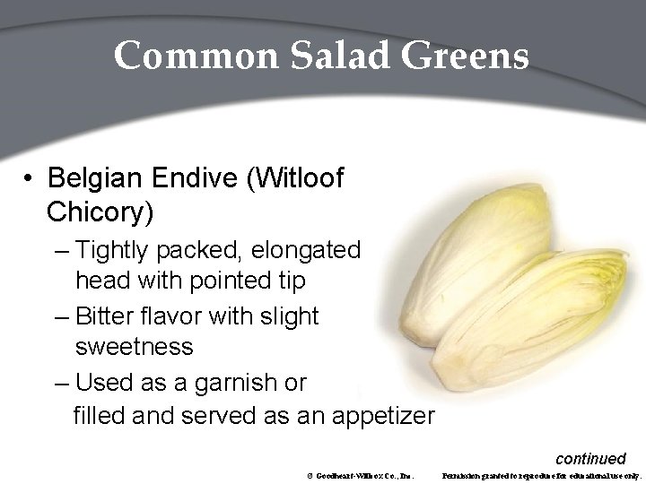 Common Salad Greens • Belgian Endive (Witloof Chicory) – Tightly packed, elongated head with