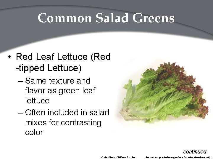 Common Salad Greens • Red Leaf Lettuce (Red -tipped Lettuce) – Same texture and
