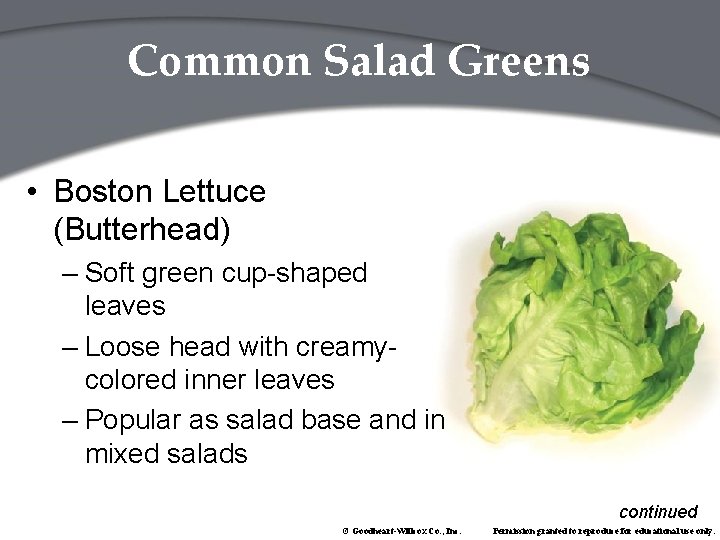 Common Salad Greens • Boston Lettuce (Butterhead) – Soft green cup-shaped leaves – Loose