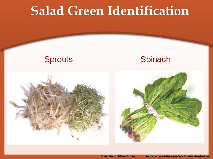 Salad Green Identification Sprouts Spinach © Goodheart-Willcox Co. , Inc. Permission granted to reproduce