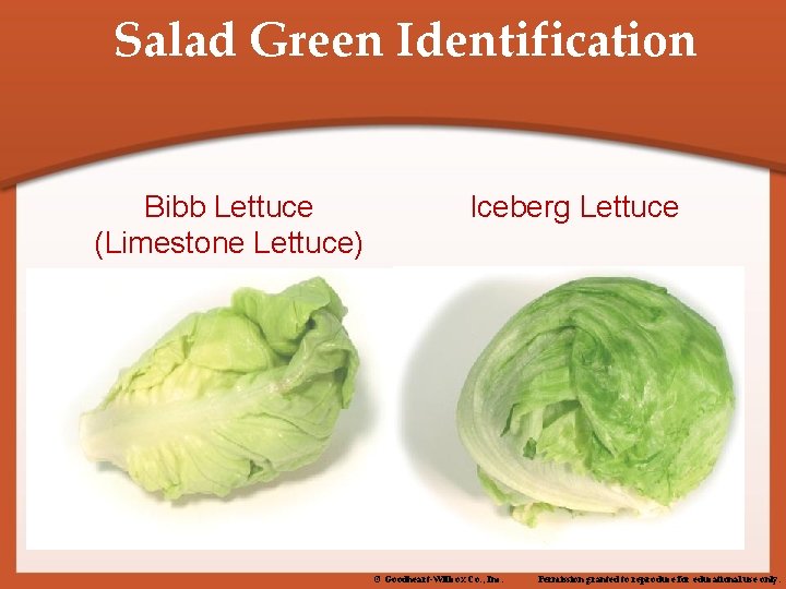 Salad Green Identification Bibb Lettuce (Limestone Lettuce) Iceberg Lettuce © Goodheart-Willcox Co. , Inc.