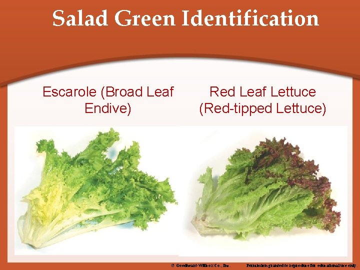 Salad Green Identification Escarole (Broad Leaf Endive) Red Leaf Lettuce (Red-tipped Lettuce) © Goodheart-Willcox