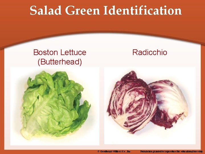 Salad Green Identification Boston Lettuce (Butterhead) Radicchio © Goodheart-Willcox Co. , Inc. Permission granted