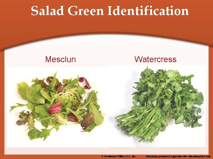Salad Green Identification Mesclun Watercress © Goodheart-Willcox Co. , Inc. Permission granted to reproduce
