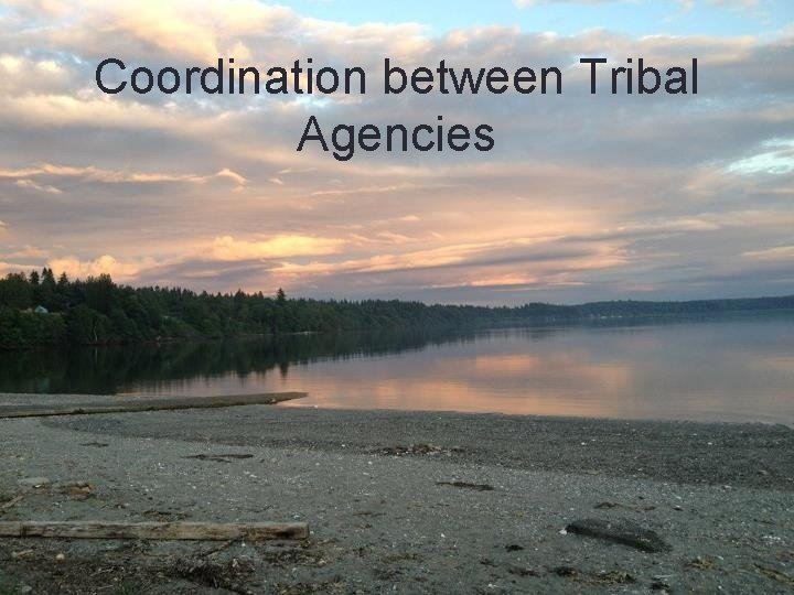 Coordination between Tribal Agencies 